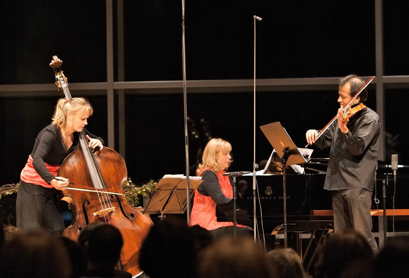 🎻 Violin, Double Bass & Piano