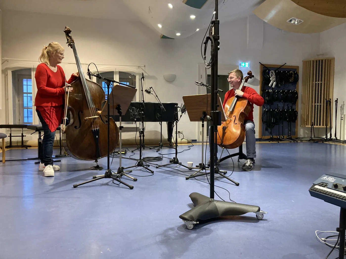 🎶 Cello & Double Bass