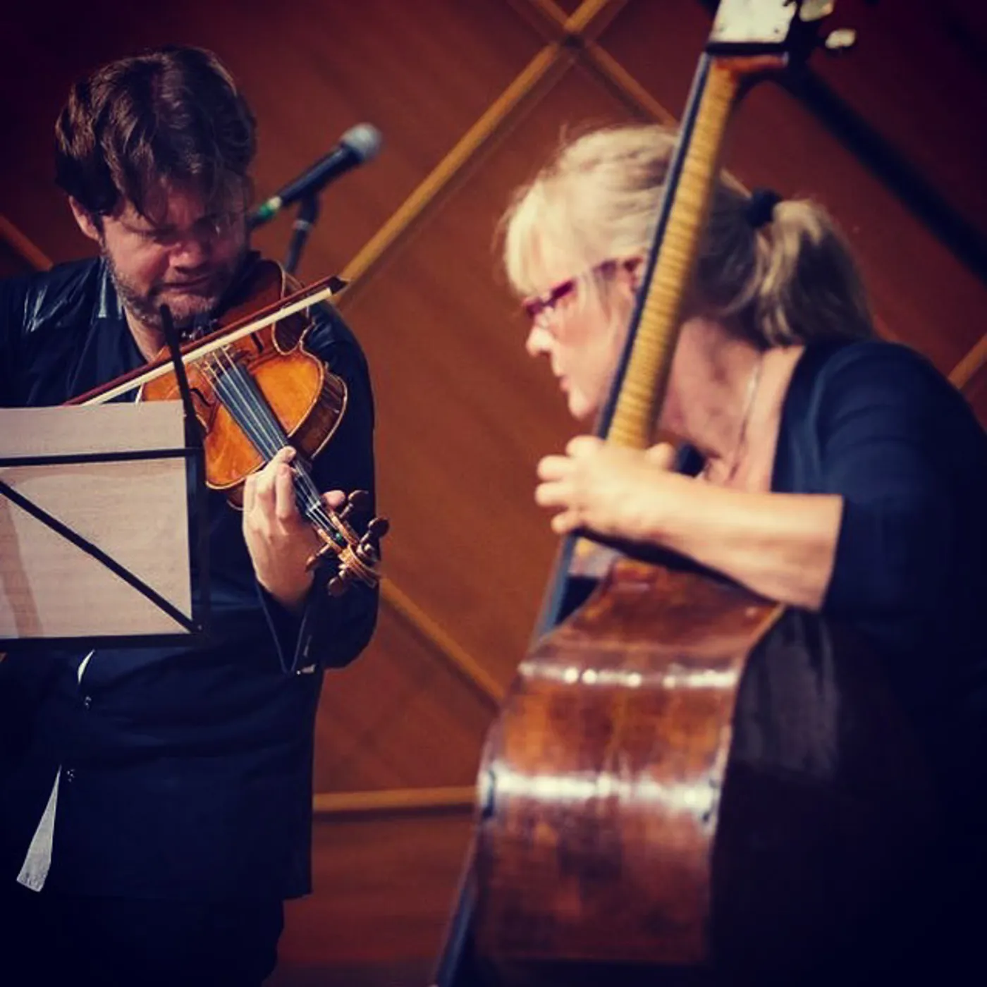 🎻 Violin, Double Bass & Piano
