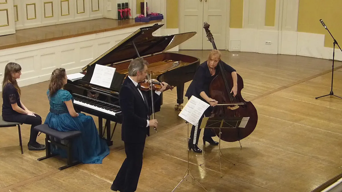 🎻 Violin, Double Bass & Piano